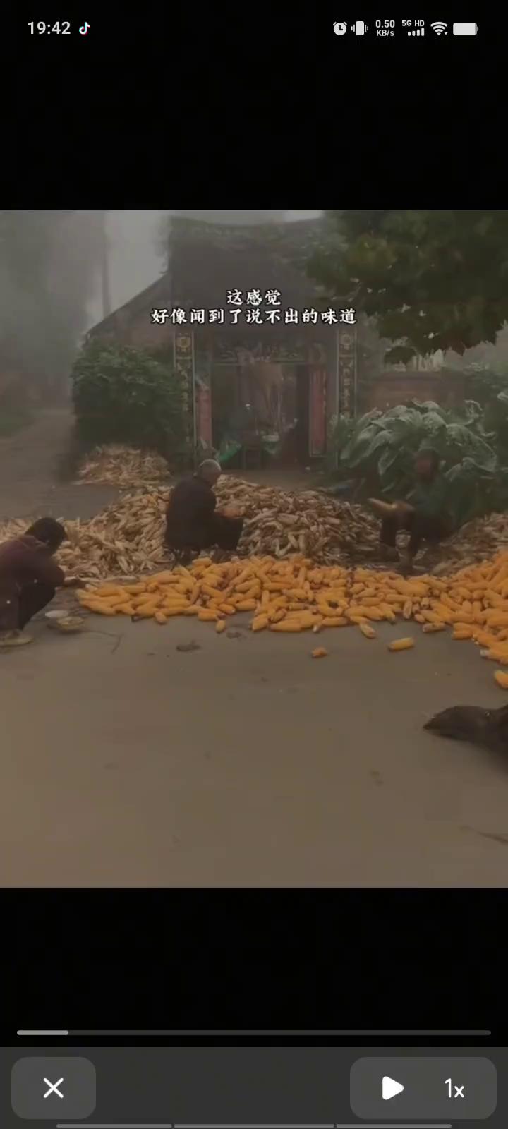 这感觉好像闲到了说不出的味道。