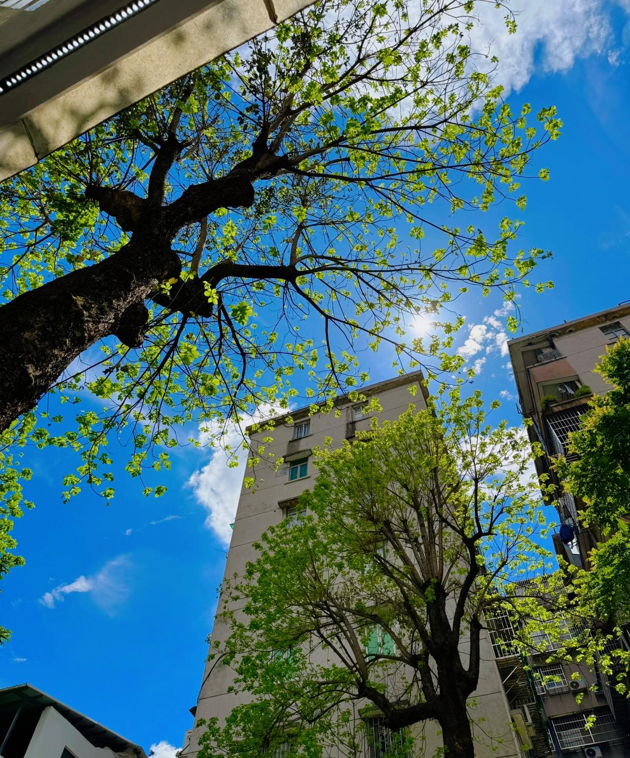 人需要不断地表达，才能进化。人一定要大量频繁地记录自己，表达自己，这真的是我们