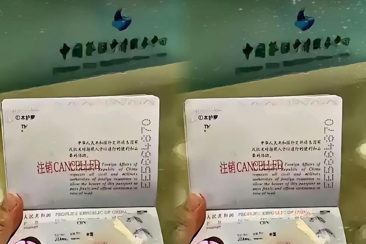 一个小姑娘开开心心地获得了美国国籍，但是注销中国国籍那刻，看着自己的护照被剪了一