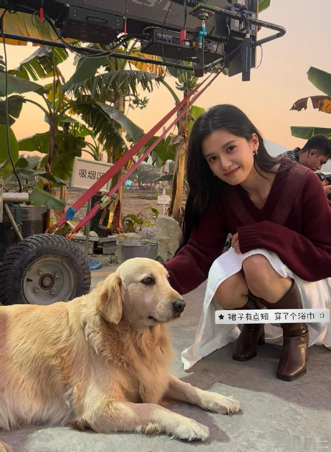 张婧仪分享小年plog张婧仪分享小年plog和狗狗合照、包饺子、看烟花……