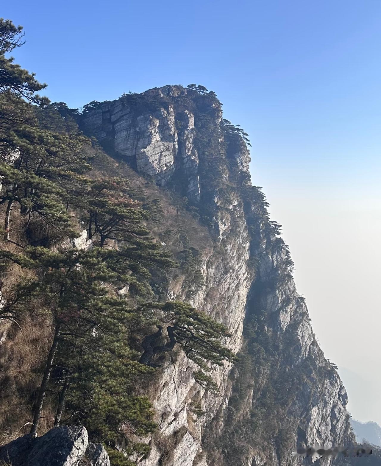 上周末满心欢喜约着朋友冲庐山，就为了一睹雪山盛景，结果好家伙，山上连根雪丝儿都没