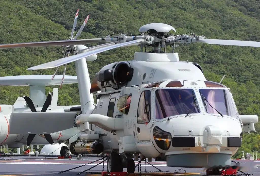 直-20F如果携带轻型反舰导弹可以携带4枚，如果是带反潜鱼雷应该只能在两侧挂架上