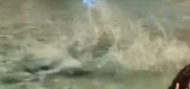 据外媒5月10日报道，意大利罗马地标景点特雷维喷泉，也就是大家常说的许愿池，近期