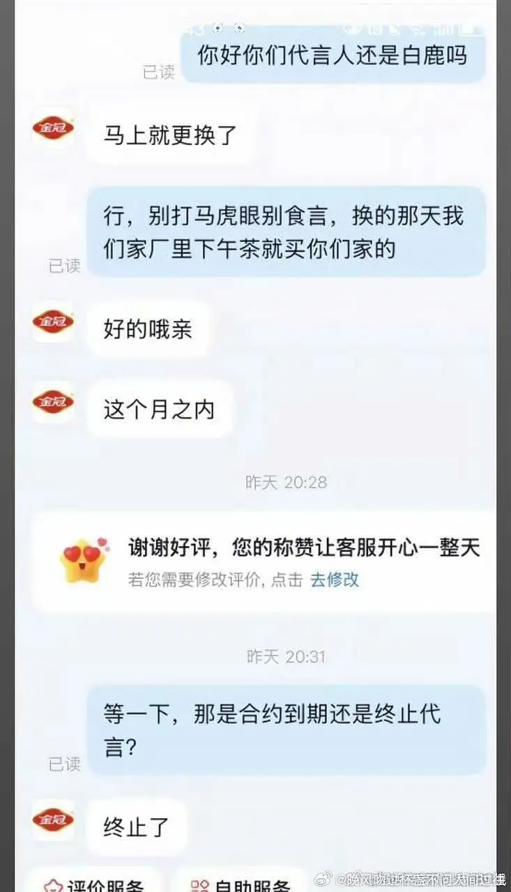 金冠动作这么快不怕白鹿后续起来了吗