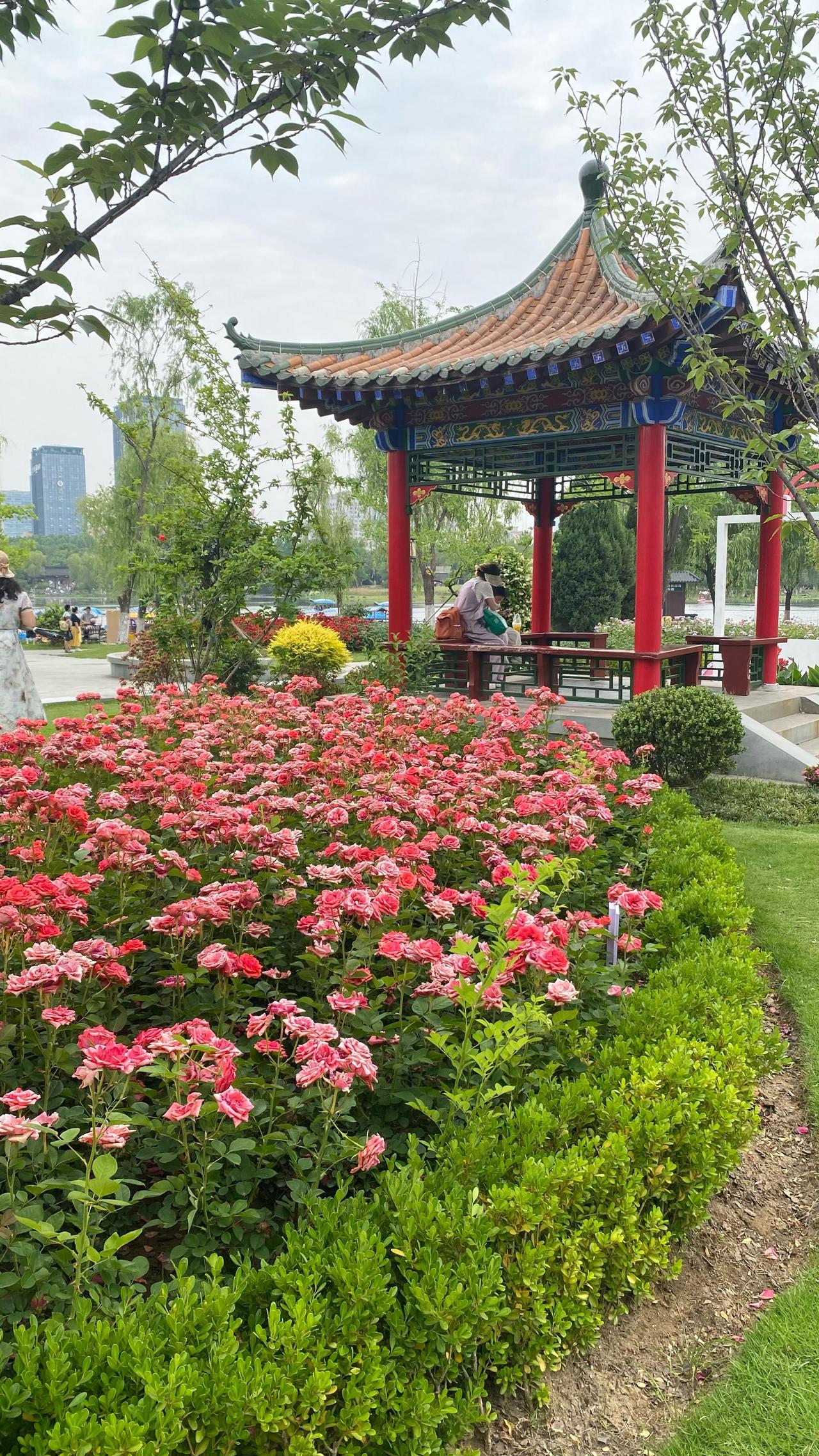 老婆坐了两次月子,母亲都没有照顾。我独自照顾老婆,累得够呛,而老婆的月子也没坐好