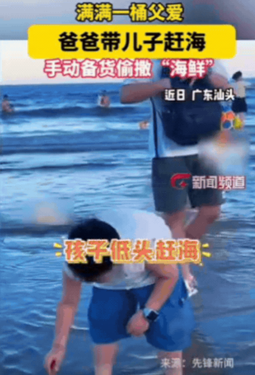 万万没想到！广东，爸爸带儿子赶海，为了提高儿子体验感，灵机一动，爸爸提前去菜市场