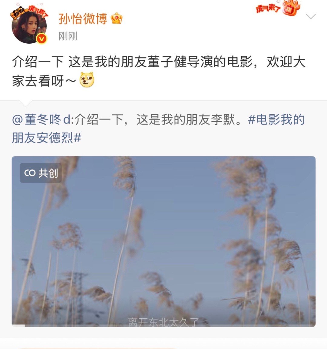 孙怡也真是个神人….