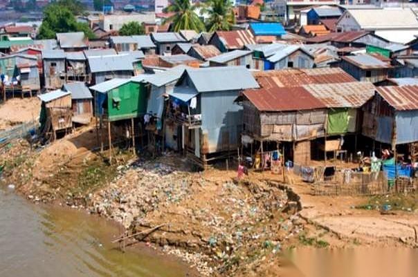 你敢信吗，一个国家，能亲手把自己最有文化、最懂技术的那批人，几乎杀了个精光。医