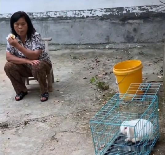 小故事！老壳子可真有钱，经常到饭店里去吃饭，这天老壳子来到饭店去吃饭