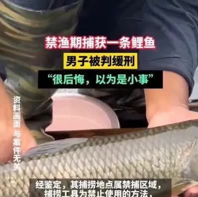 “靠水吃水，吃鱼也错了？”四川自贡，男子嘴馋，欲在沱江边捕鱼改善伙食。妻子劝阻，