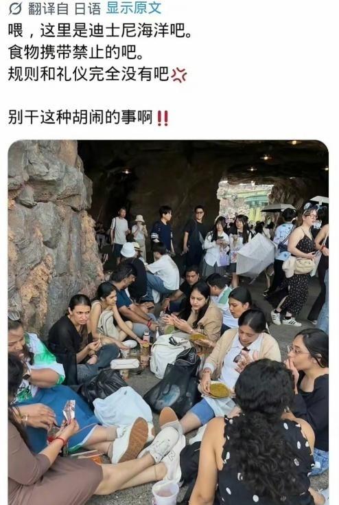 印度人太牛了，直接把日本人整破防！近日，有日本网友吐槽：日本东京迪士尼禁止个人携