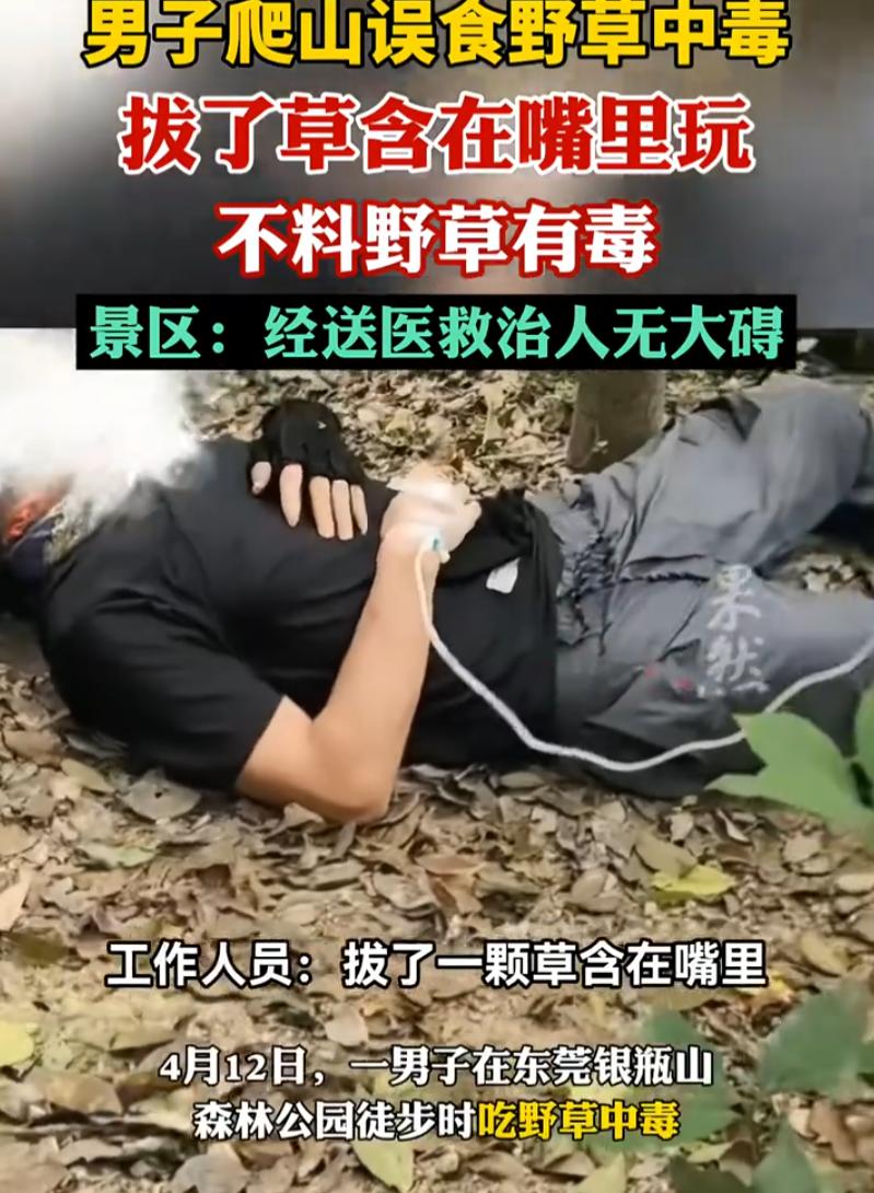 “拿自己当神农了？”广东东莞，一男子去爬山徒步，期间看到地上长得草有点怪，就上前