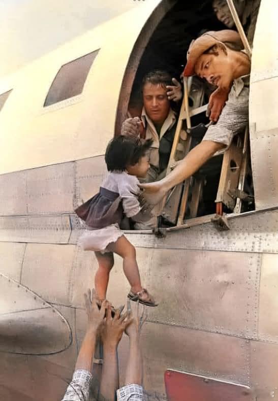 ‼️这张照片来自1975年越南战争末期的“婴儿空运行动”（Operation