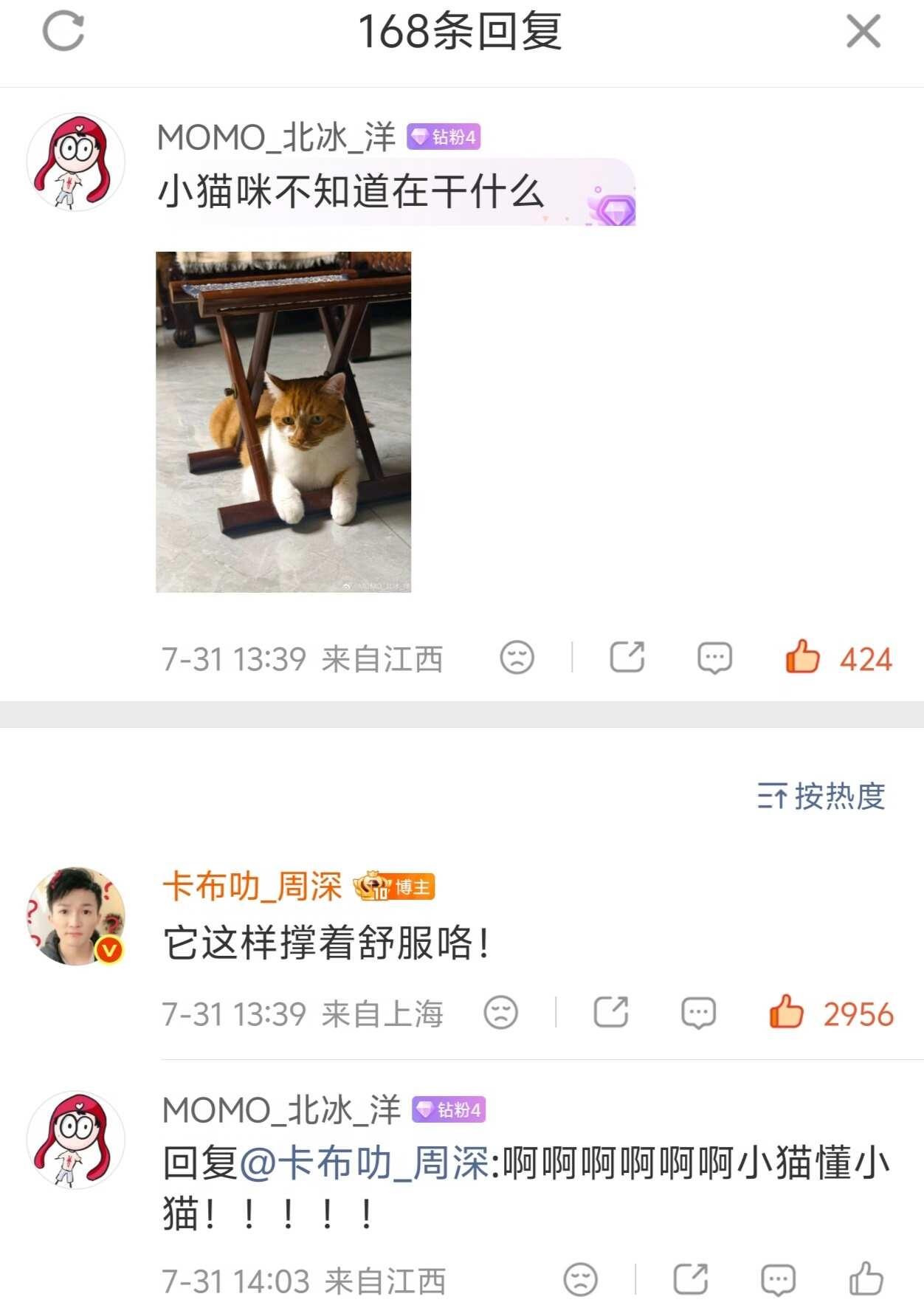 记录周深第六次回复我，还是在我农历生日哈哈哈哈哈太幸福啦！！！！！！小猫果然懂