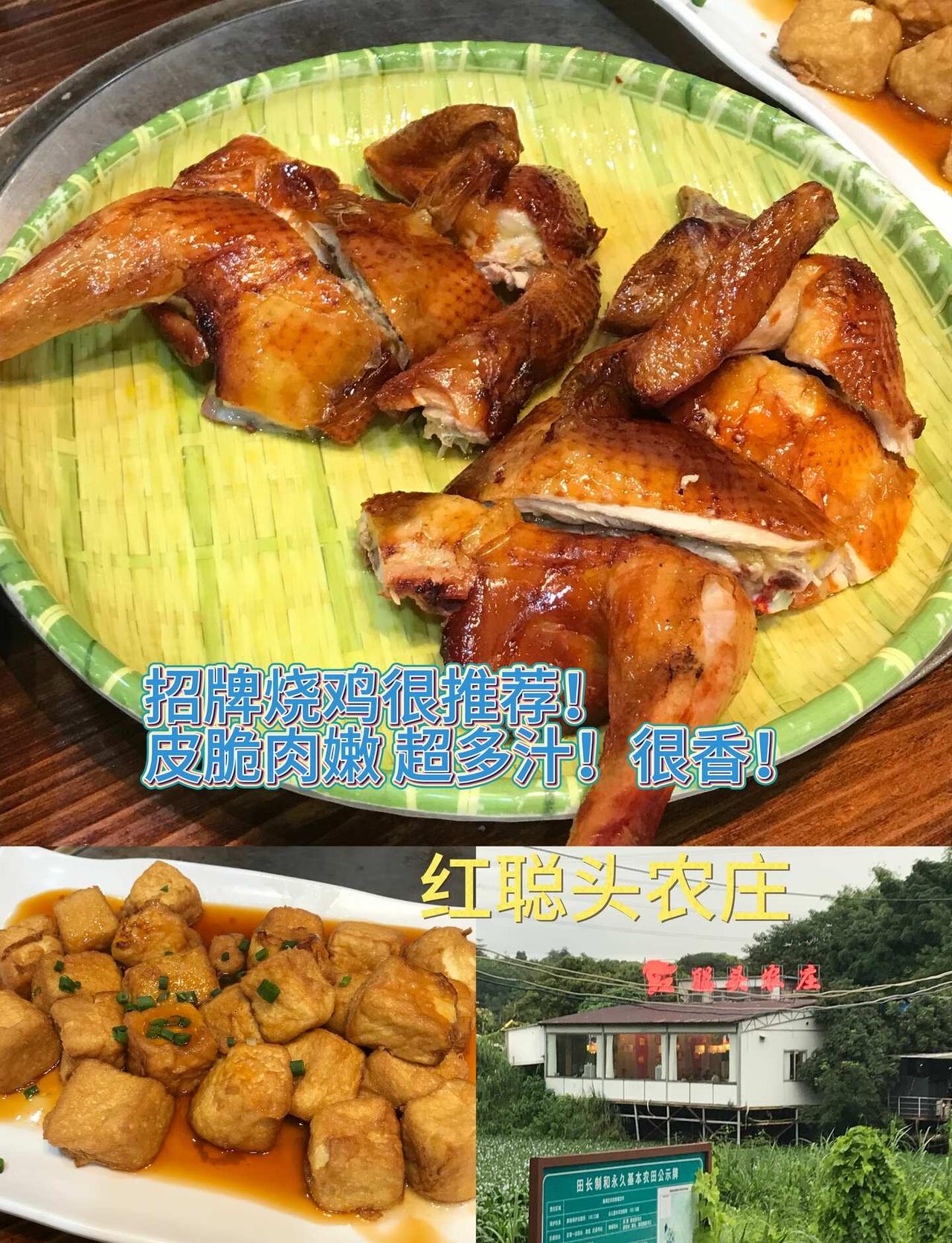 在广州吃到的好吃饭店本集以番禹区为主涵盖烧烤粤菜川菜湘菜什么都有共同