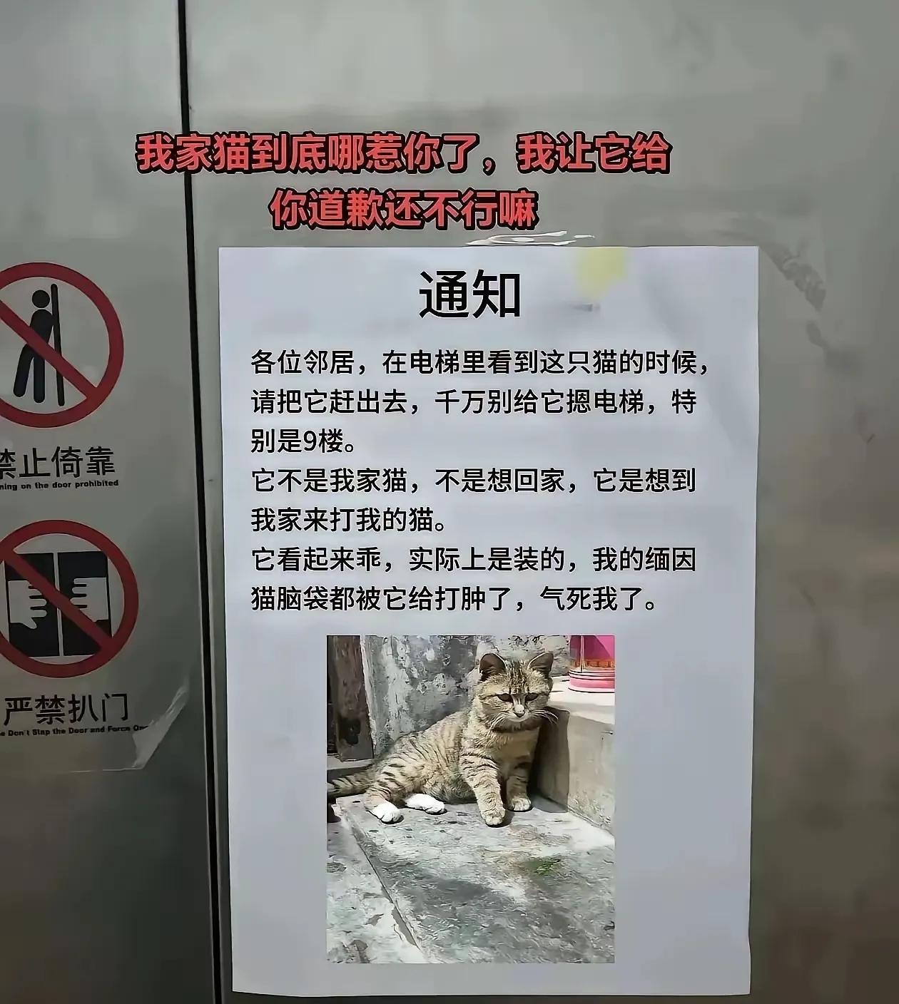 看到这张图，我相信，人只有在干坏事的时候是最有耐心的[大笑][大笑][大笑]要