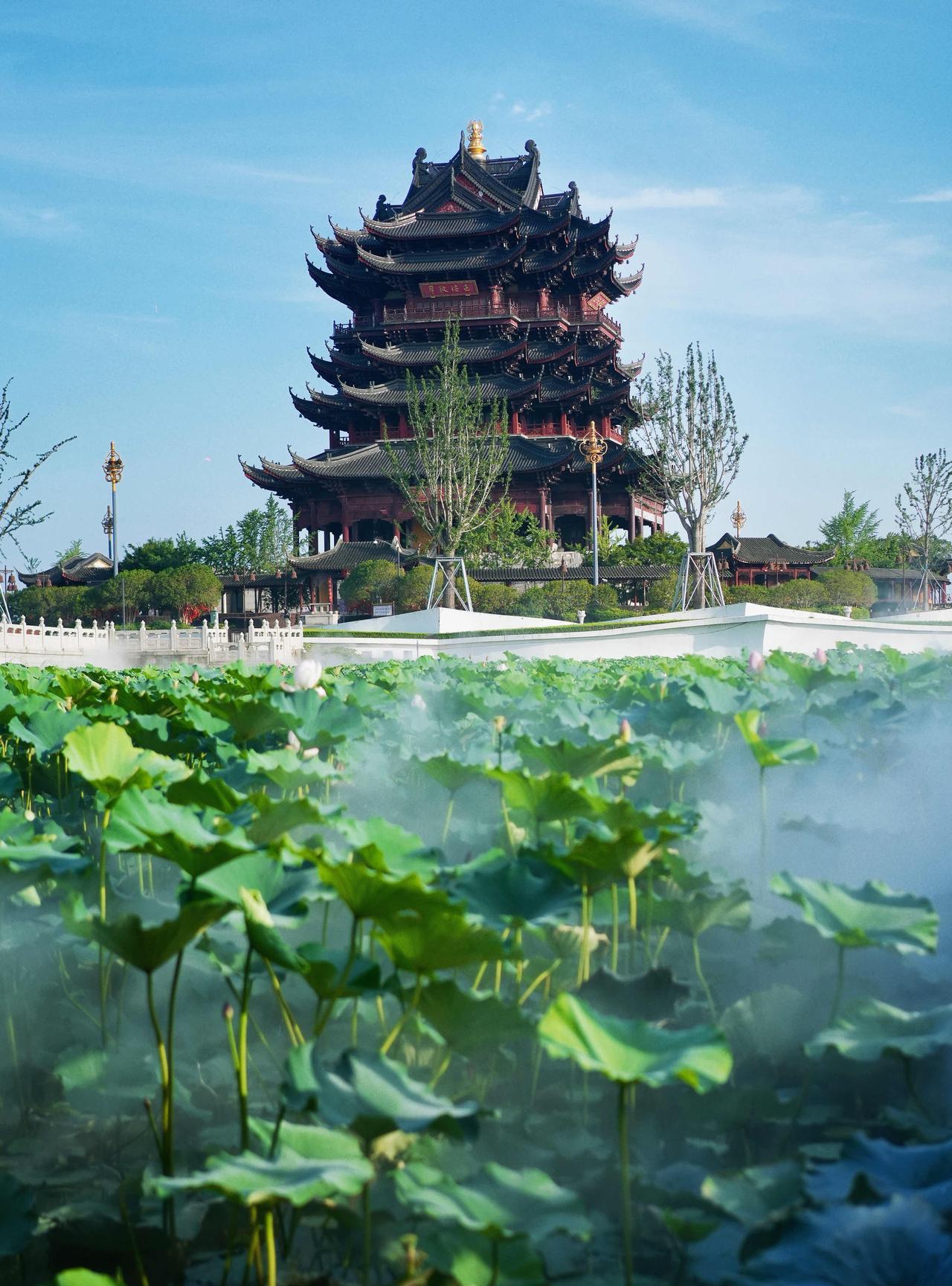 苏州超美的赏荷地推荐第二次来苏州重元寺，泡了一下午咖啡馆。点了杯香水莲花，心