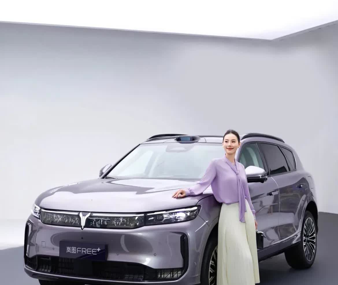 有专家预测，未来中国国产汽车可能只剩6家：1，一汽集团；2，奇瑞汽车