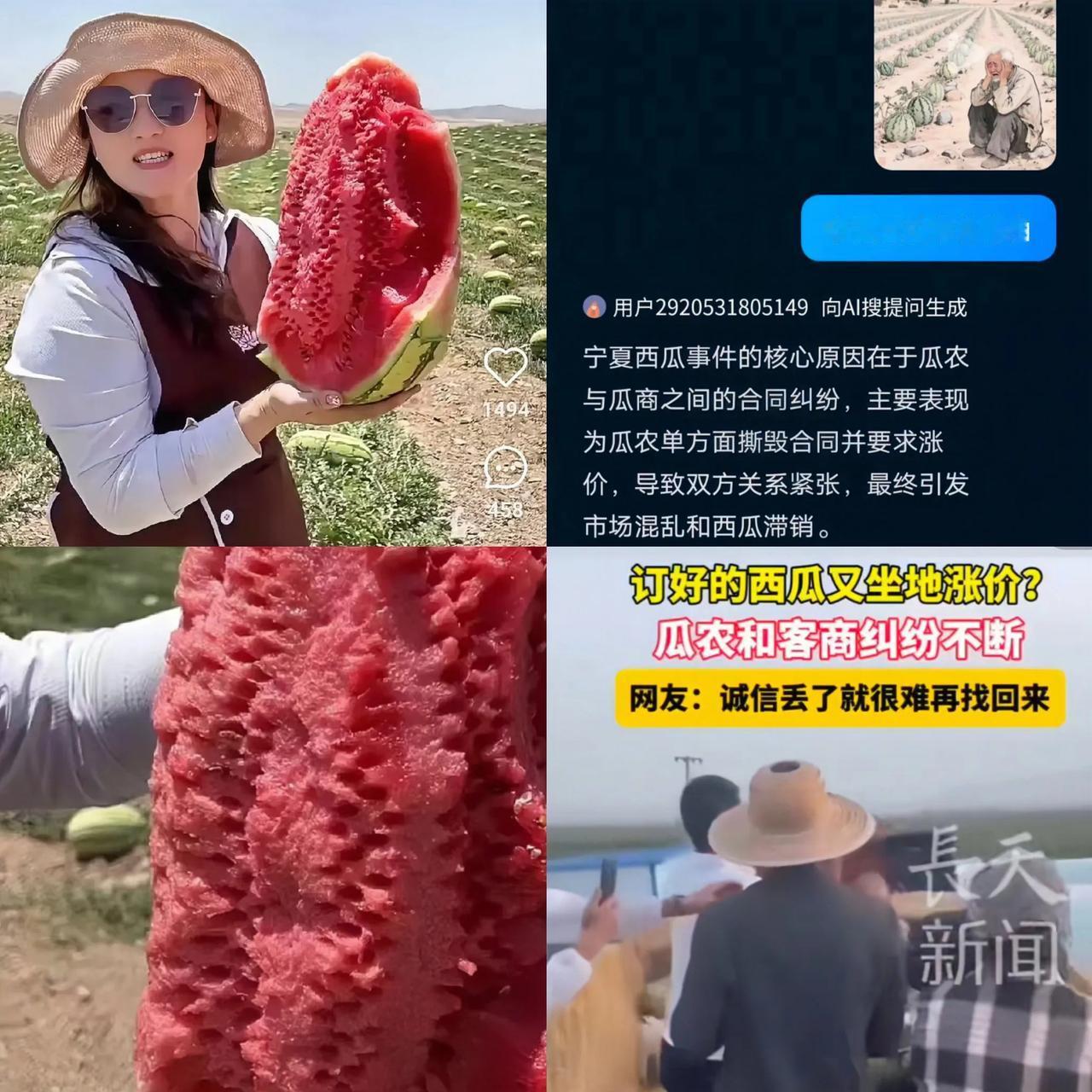 宁夏西瓜最近的事有点意思！去年部分瓜农坐地起价，单方面撕毁合同，让不少瓜商寒了心