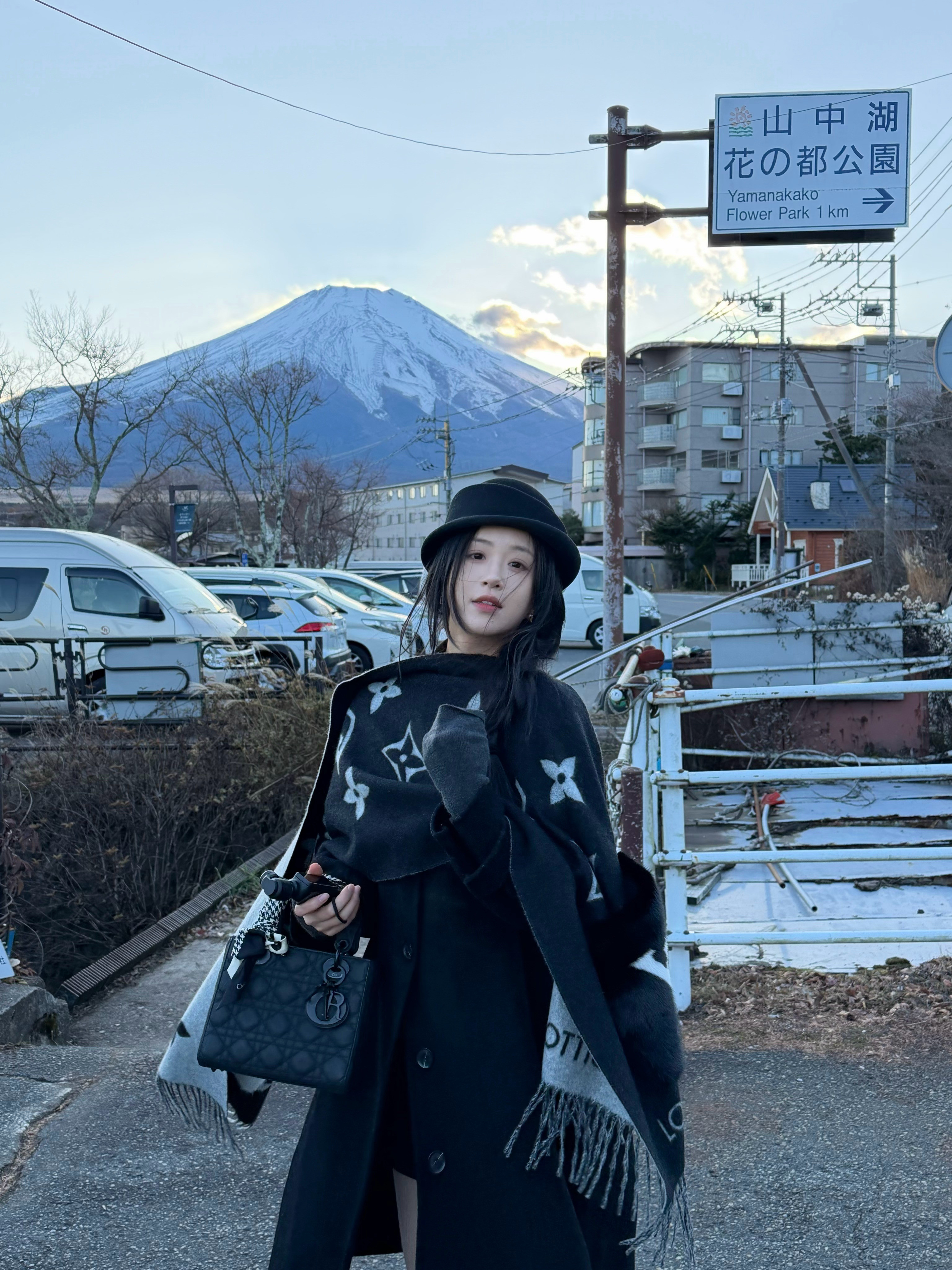 谁能凭爱意要富士山私有🗻