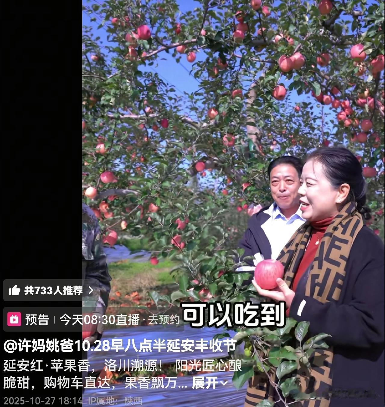 今儿早上8点30分,许妈姚爸直播带货,这次他们卖的是洛川苹果。延安洛川