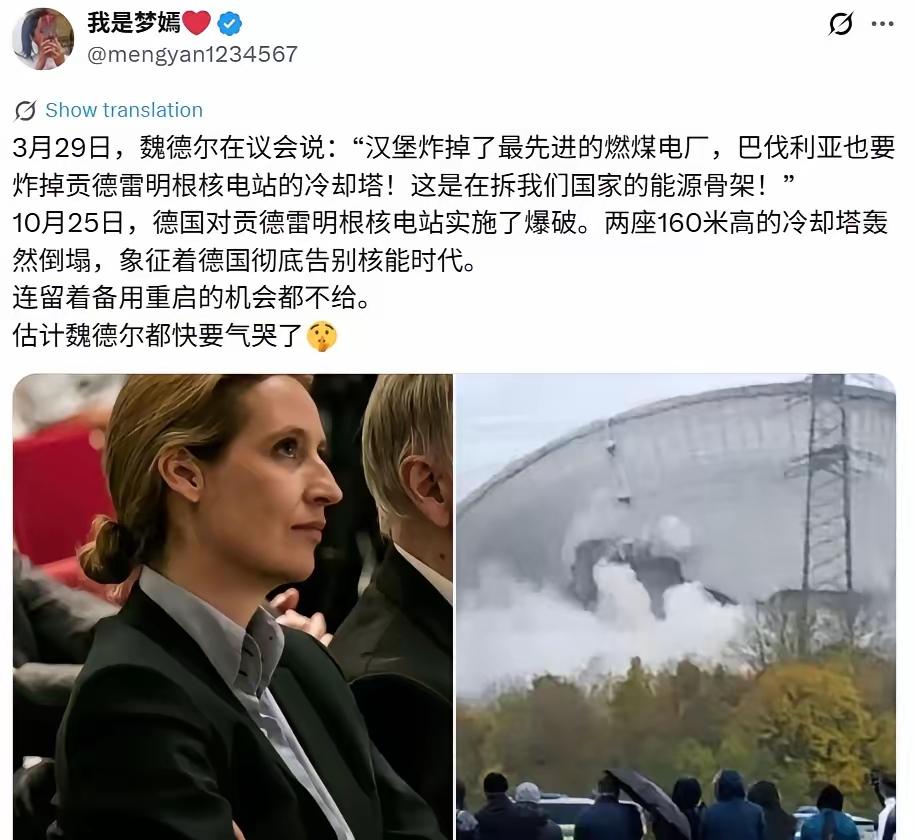 不可思议。德国的悲哀！这是真的“自宫”啊?我认为出现这种情况的主要原因不是
