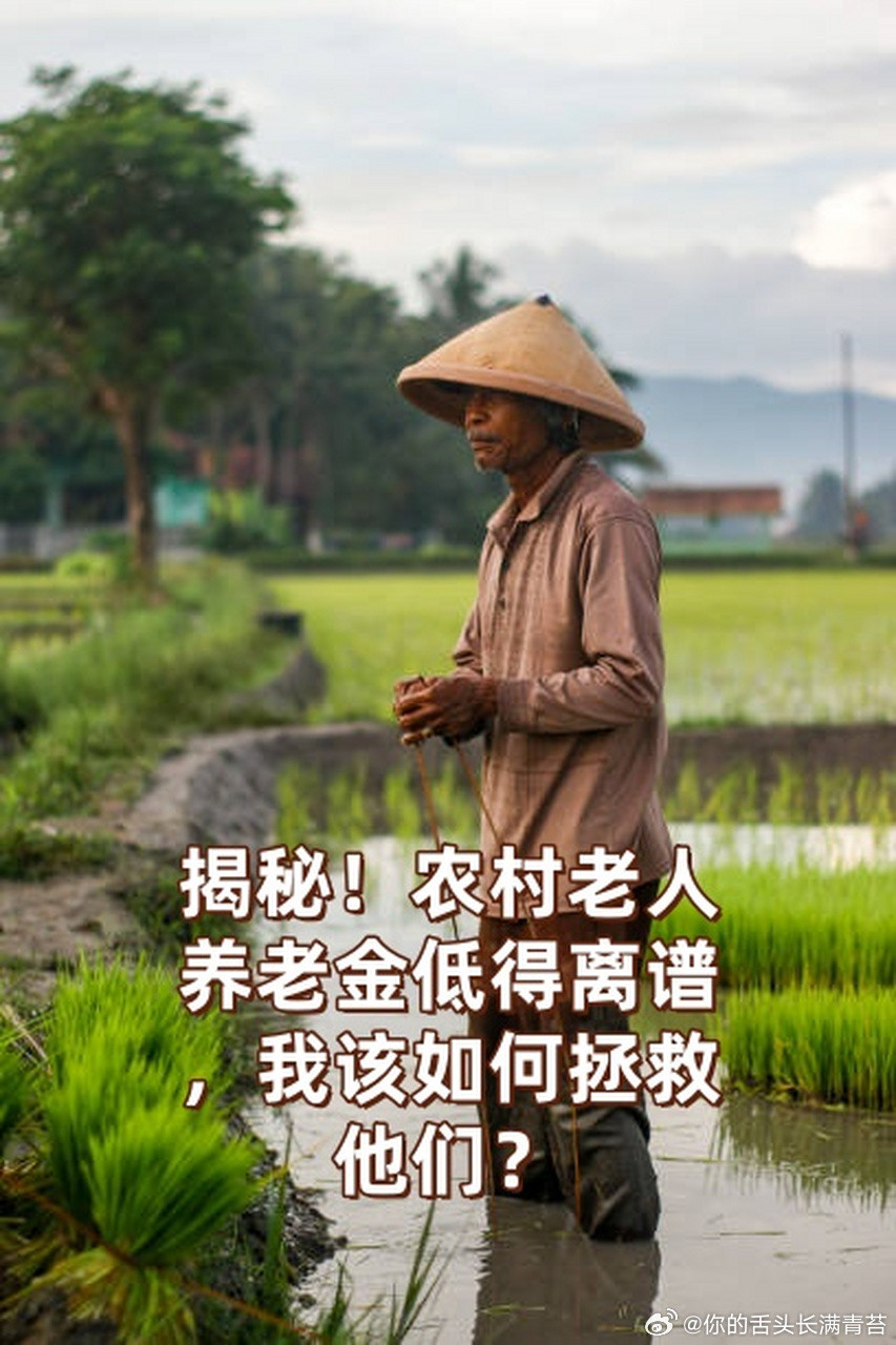 “农民养老金仅为城镇职工5%”引热议，专家代表观点激辩：历史债务，该偿还了！