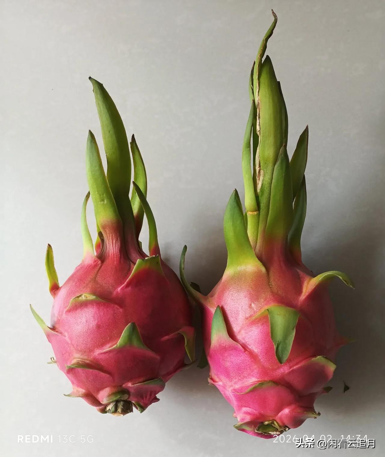 割痔疮的经历与感受（八）术后第十天，最大的问题，如厕剧疼！！！[哭哭]自3.