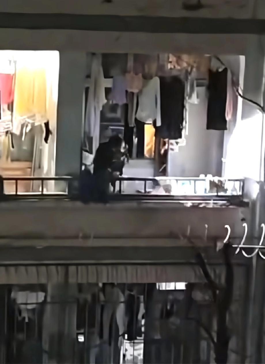 三峡大学开除“摸人”留学生，并且在二楼安装了防盗网，请问下，这够吗？比安装防