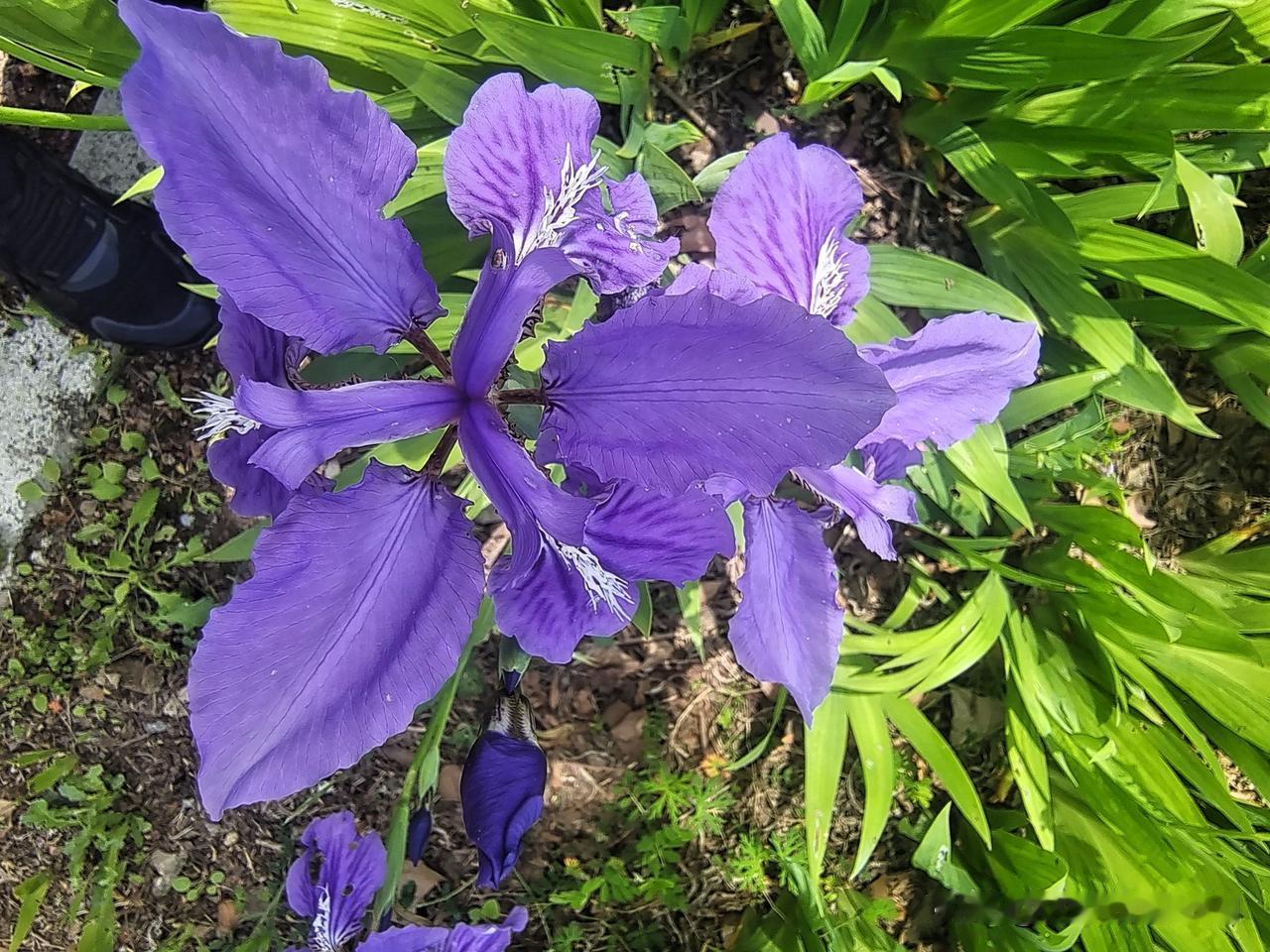 人只要有价值，即使80岁都有很多朋友；人要是没有价值了，可能你连一个朋友都没有。