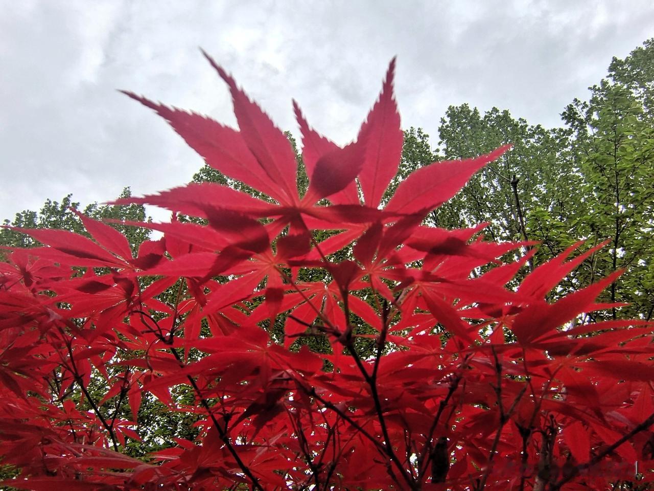 上联：油盐酱醋伴日月下联：锅碗瓢盆凑生活终生坚持作品原创的人图片来源于作