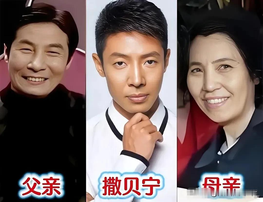 央视名嘴和父母同框，满是温情。一众央视知名主持人和父母合照亮相，一张张照片暖意