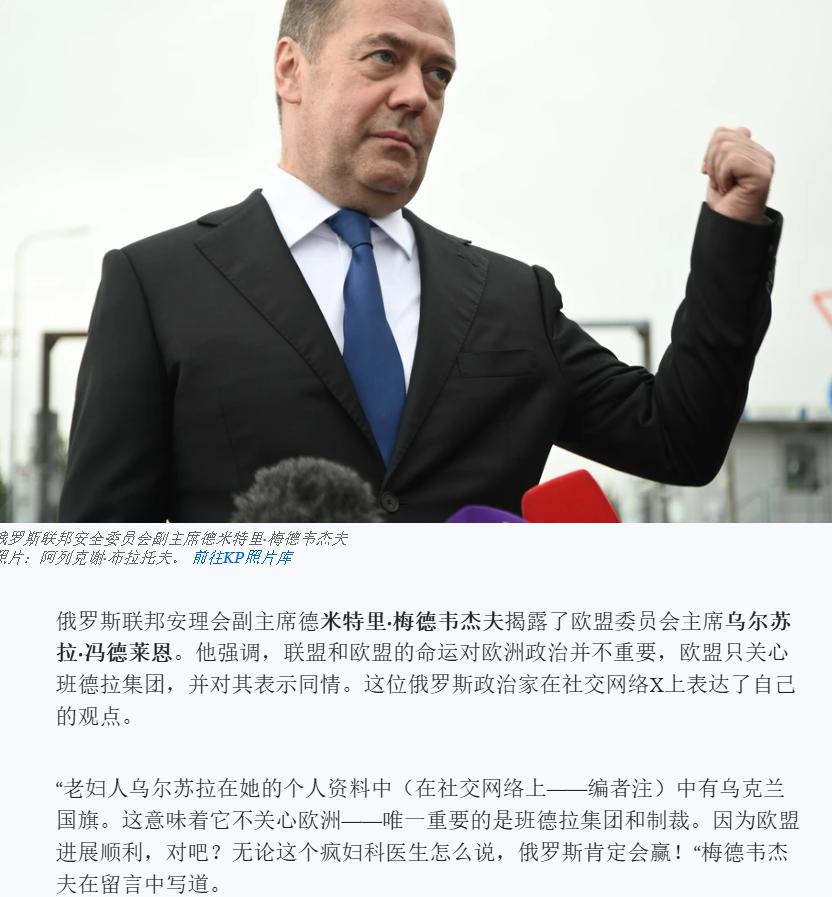 堂堂欧盟委员会主席，被一国前总统指着鼻子痛骂是“老妖婆”和“疯狂的妇科医生”，国