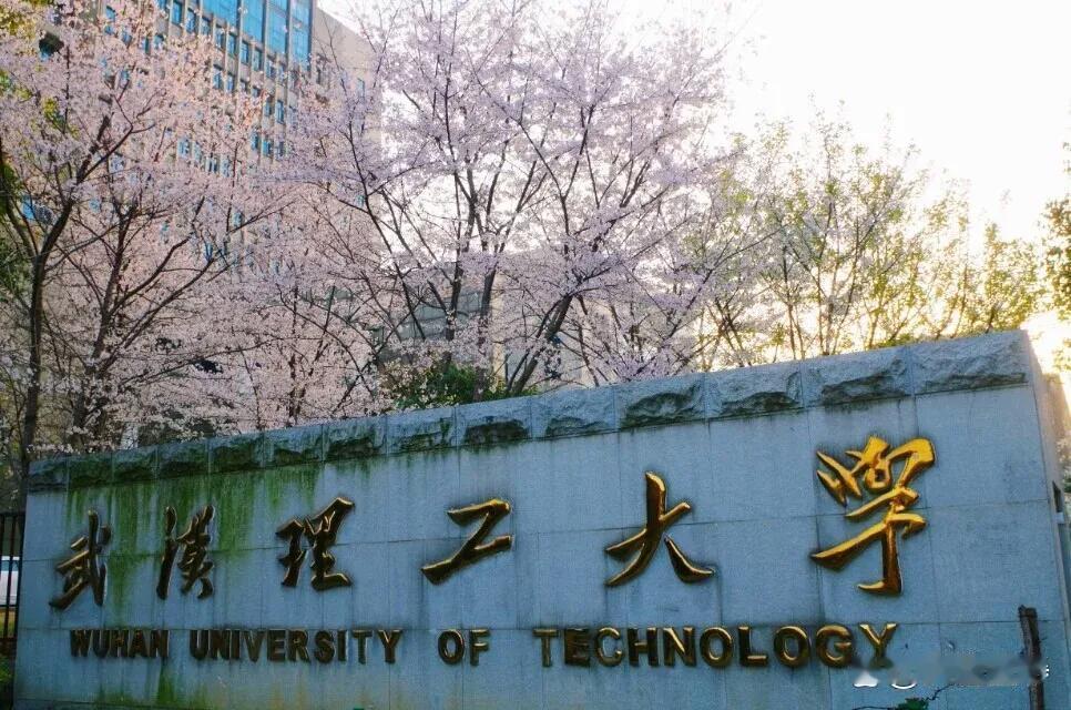 武汉理工大学和南京理工大学实力对比！一、师资力量1.武汉理工大学，专任教