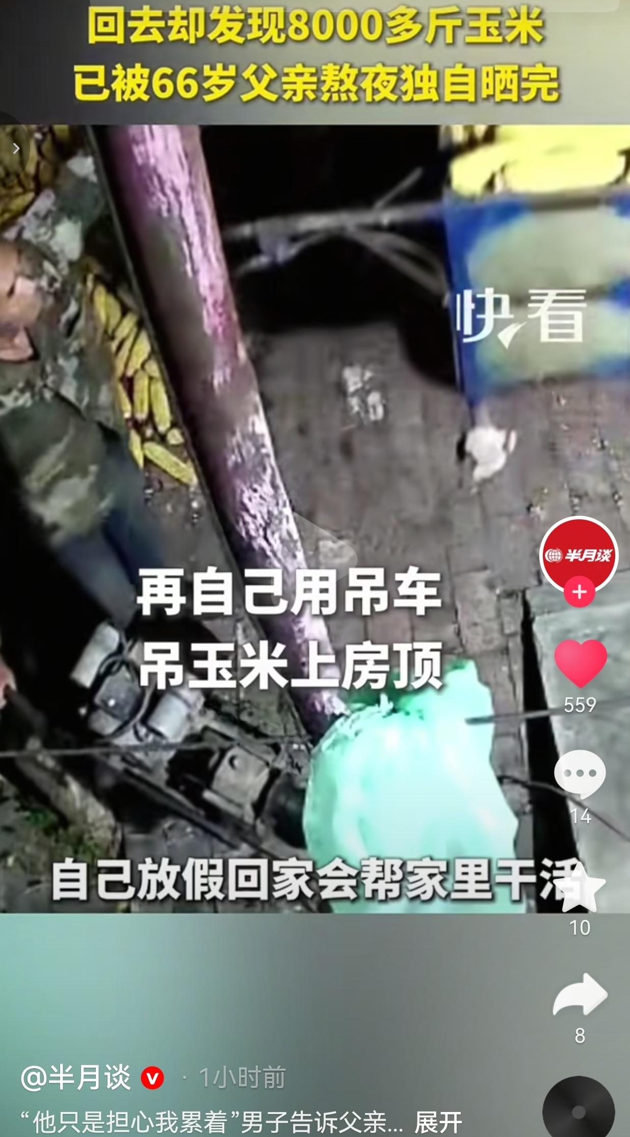 山东一对父子，儿子早就和父亲约好了。放假回老家，父子俩搭伙，一起收家里的玉米。
