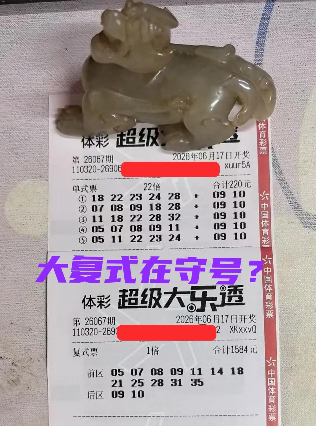 大佬这一期选择了守号，尤其是蓝区号码09-10，和上一期保持一致。上一期被主任虐