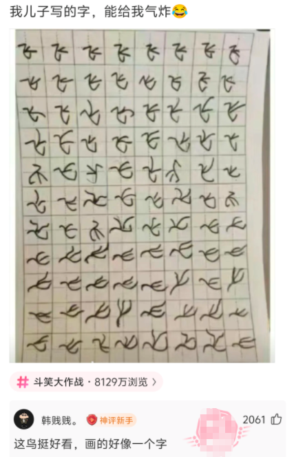 我儿子写的字，能给我气炸
