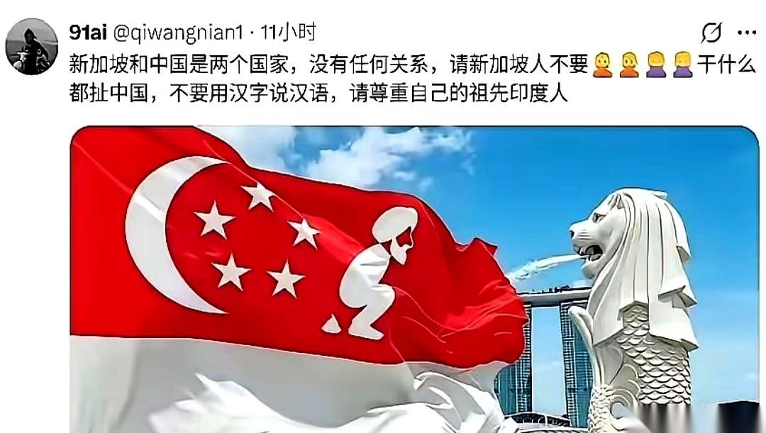 最近网上有个说法，差点让我把刚喝进去的茶喷出来。说我们新加坡的“根”，在印度。
