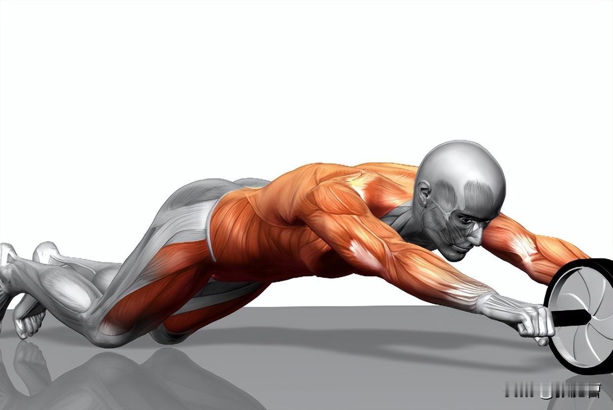 守住肌肉就是守住长寿📊肌肉与寿命的“硬数据”肌肉不仅仅是运动器官，它