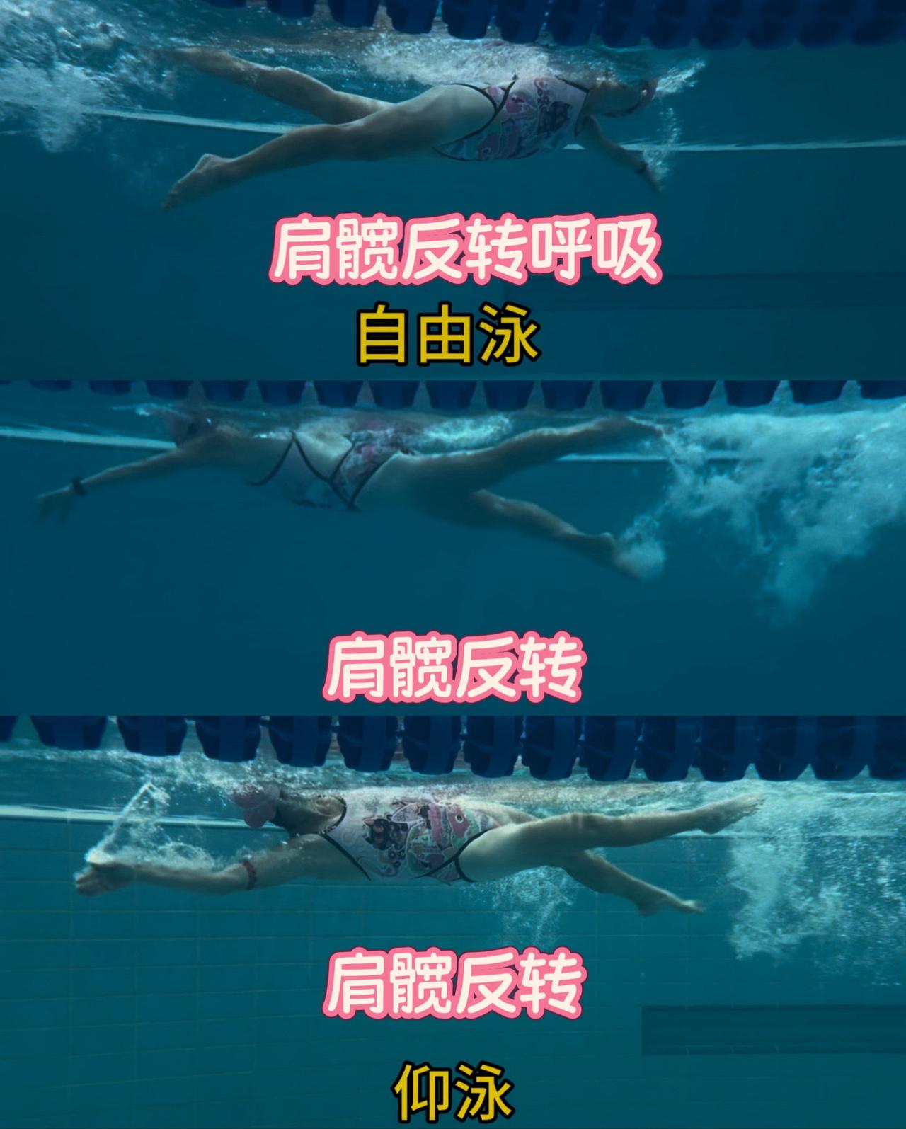 肩髋反转扭矩力。仰泳自由泳都是上下肢反转扭矩力压住对角线。