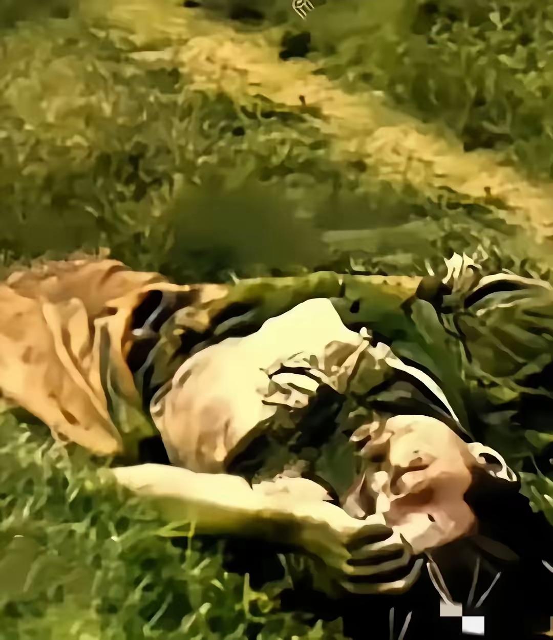 今日话题在南疆的高温湿热中，一名牺牲于敌人伏击的侦察兵烈士，因时隔多日，当救援