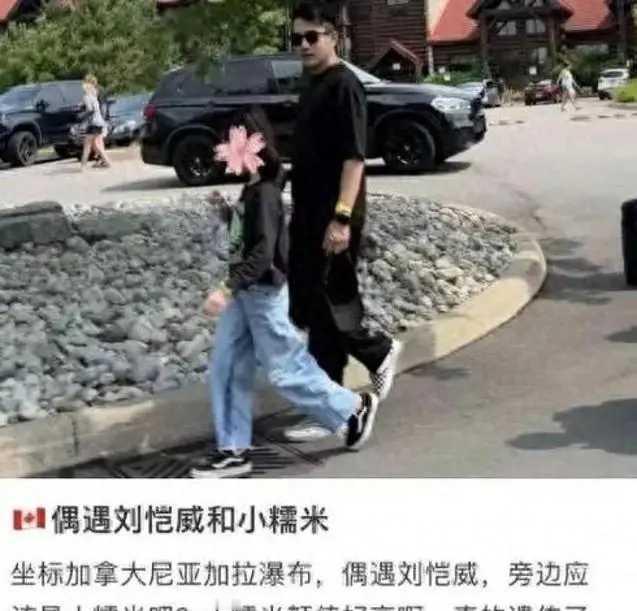 据网传，近日刘恺威带着9岁的小糯米现身加拿大，引发关注。画面中，小糯米虽年纪