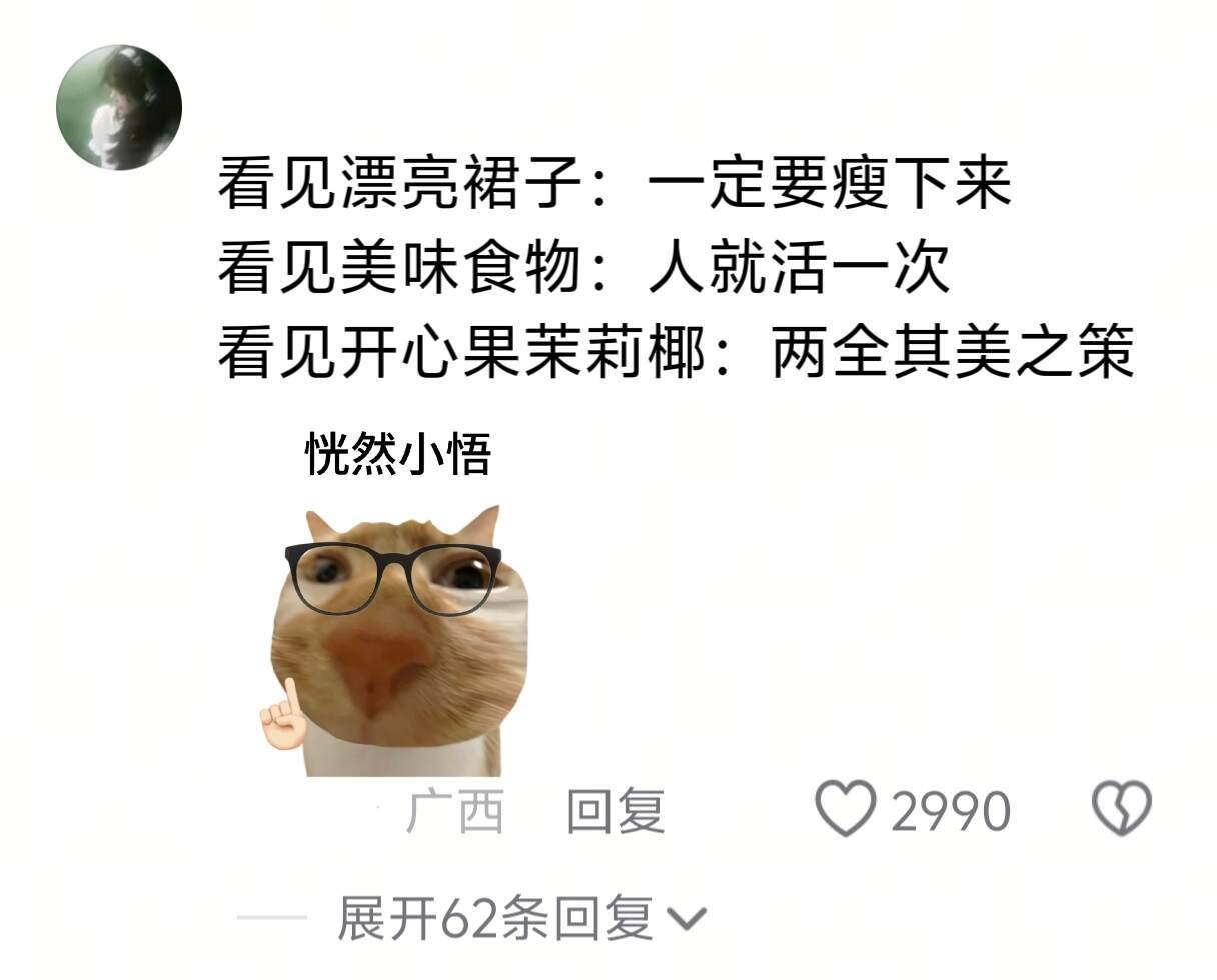 好心酸，我减肥的样子belike：
