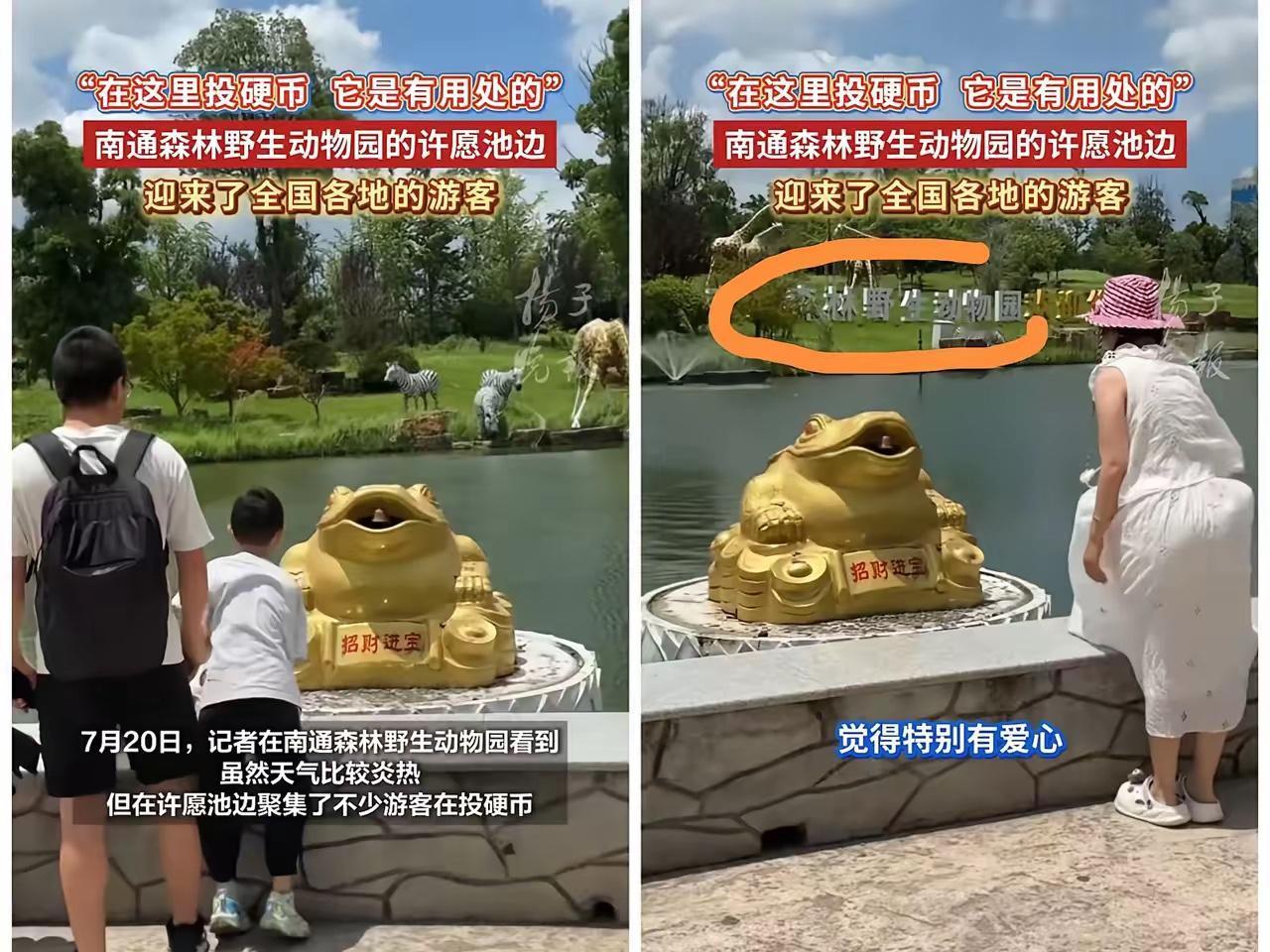 南通野生动物园彻底火了，全国各地赶来许愿的游客络绎不绝，有些还代情许愿的。动物园