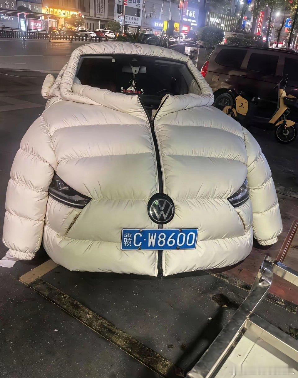 这是哪路高手？设计出来的车衣。