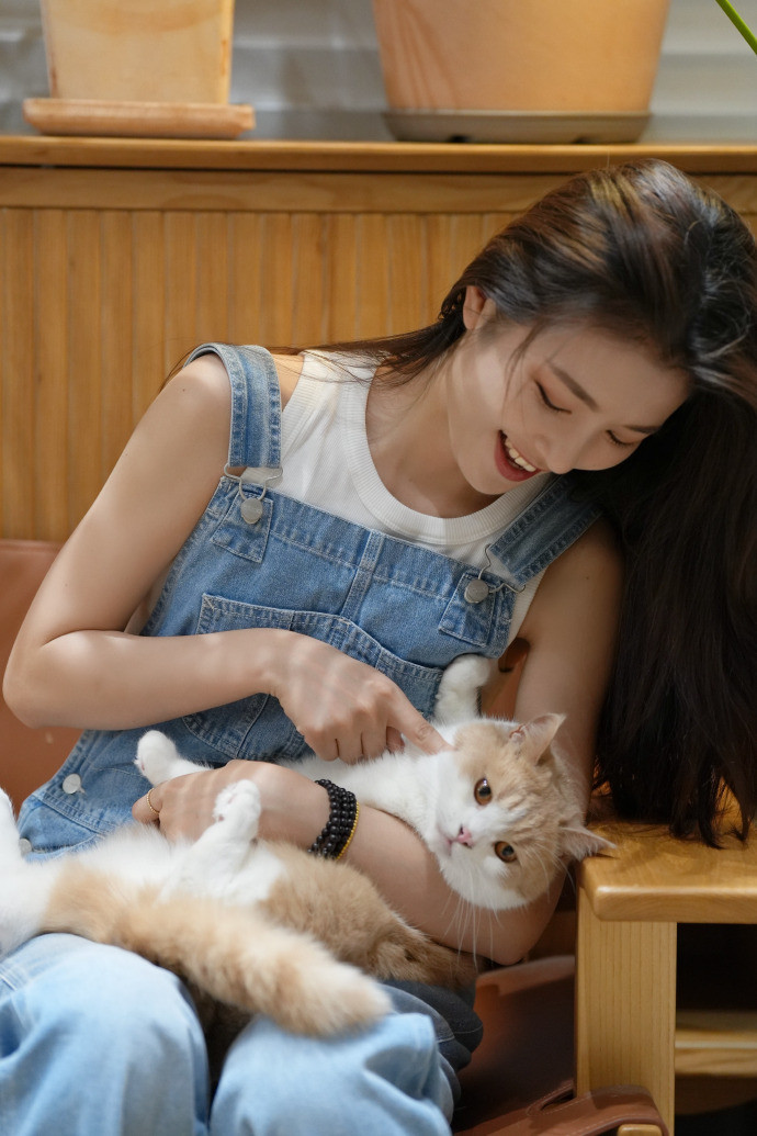 不识抬举的两辆猫！！！你俩知道有多少人排着队等着李云霄rua吗？