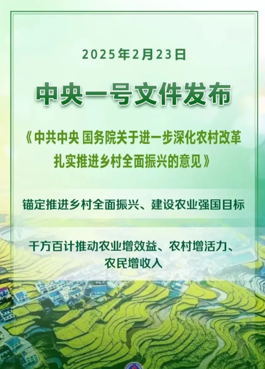 中央一号政策出来后农村宅基地大概率会出现3个现象1.村委得开始忙碌了，大多