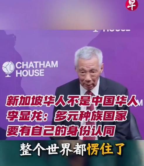 新加坡真的不是华人国家吗？新加坡华人占比是77%左右，结果还说自己是多民族国