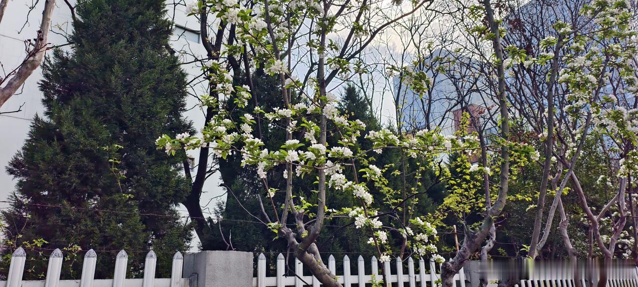 别装无辜了，被老油条坑是你自己递的刀今天一个刚转正的小孩跟我哭诉，说他被部门