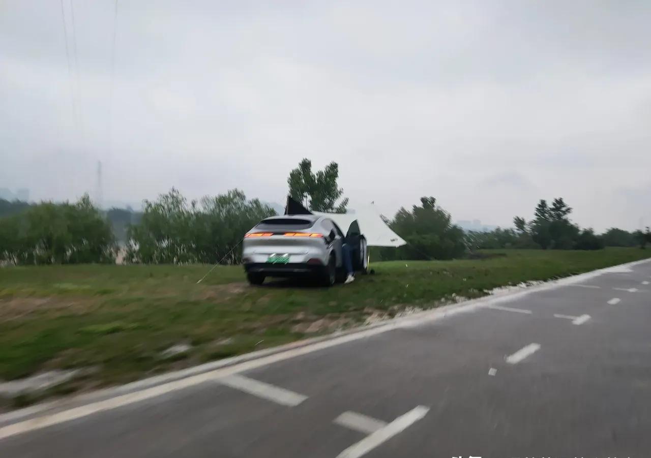 五一西安下了一整天的大雨。我撑着伞走进渭河湿地公园，想透口气。结果刚进门，人